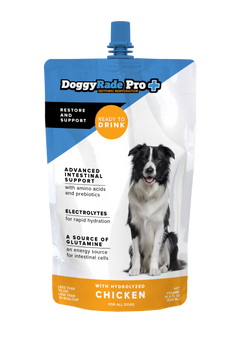 doggy DoggyRade Pro 16.9 fl oz Pouch - Doggyrade USA