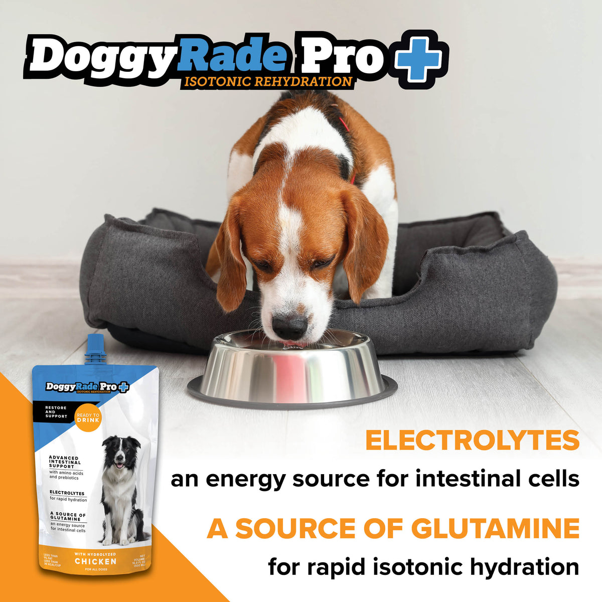 DoggyRade Pro (6 x 16.9 fl oz) Pouches