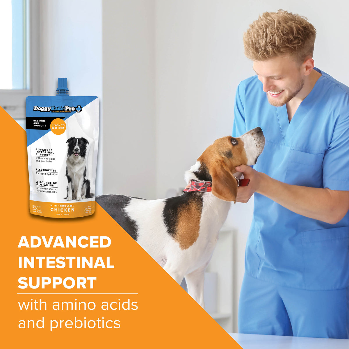 DoggyRade Pro (6 x 16.9 fl oz) Pouches