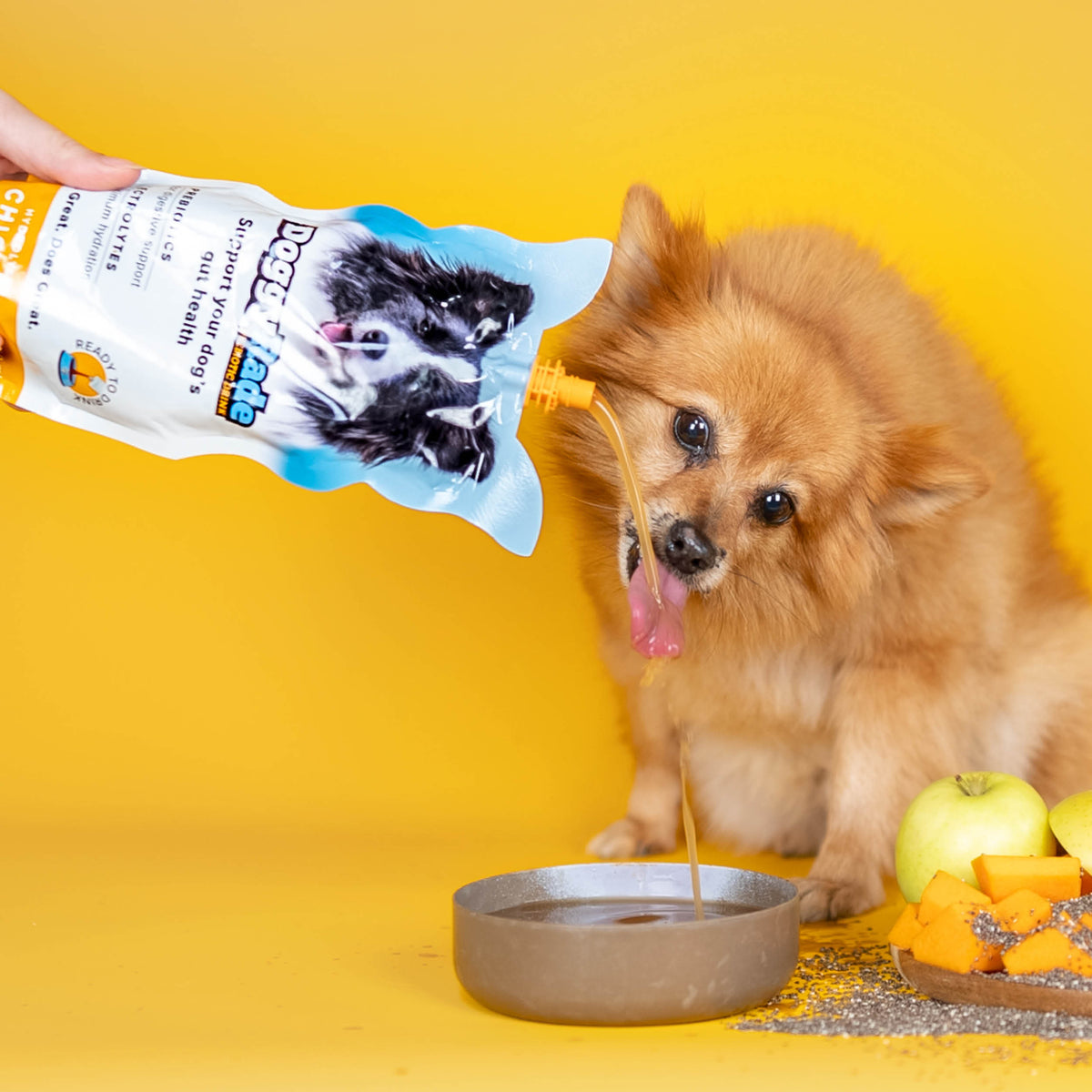 DoggyRade Preboitic + Hydration (10 x 8.4 fl. oz.) Pouches