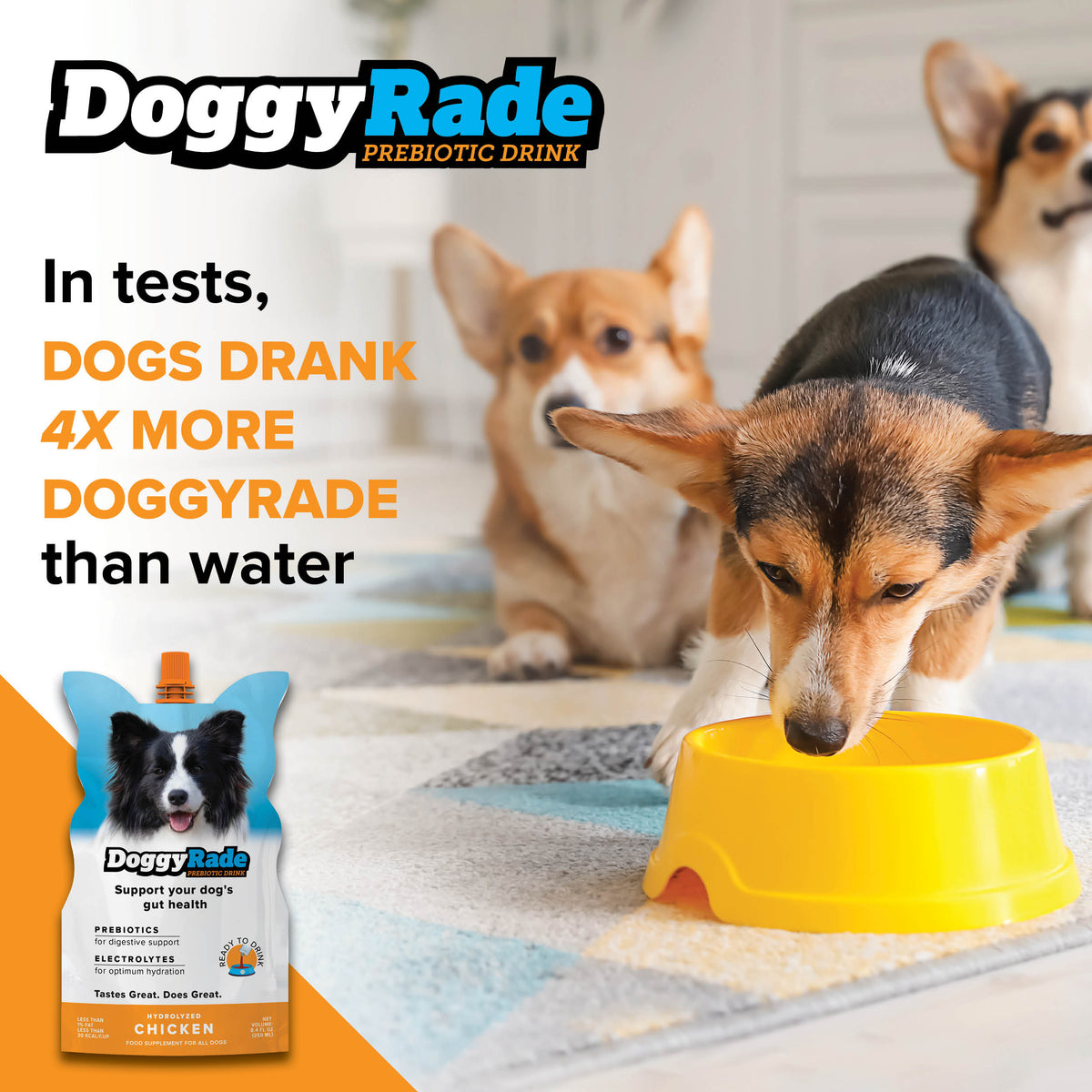 DoggyRade Preboitic + Hydration (10 x 8.4 fl. oz.) Pouches