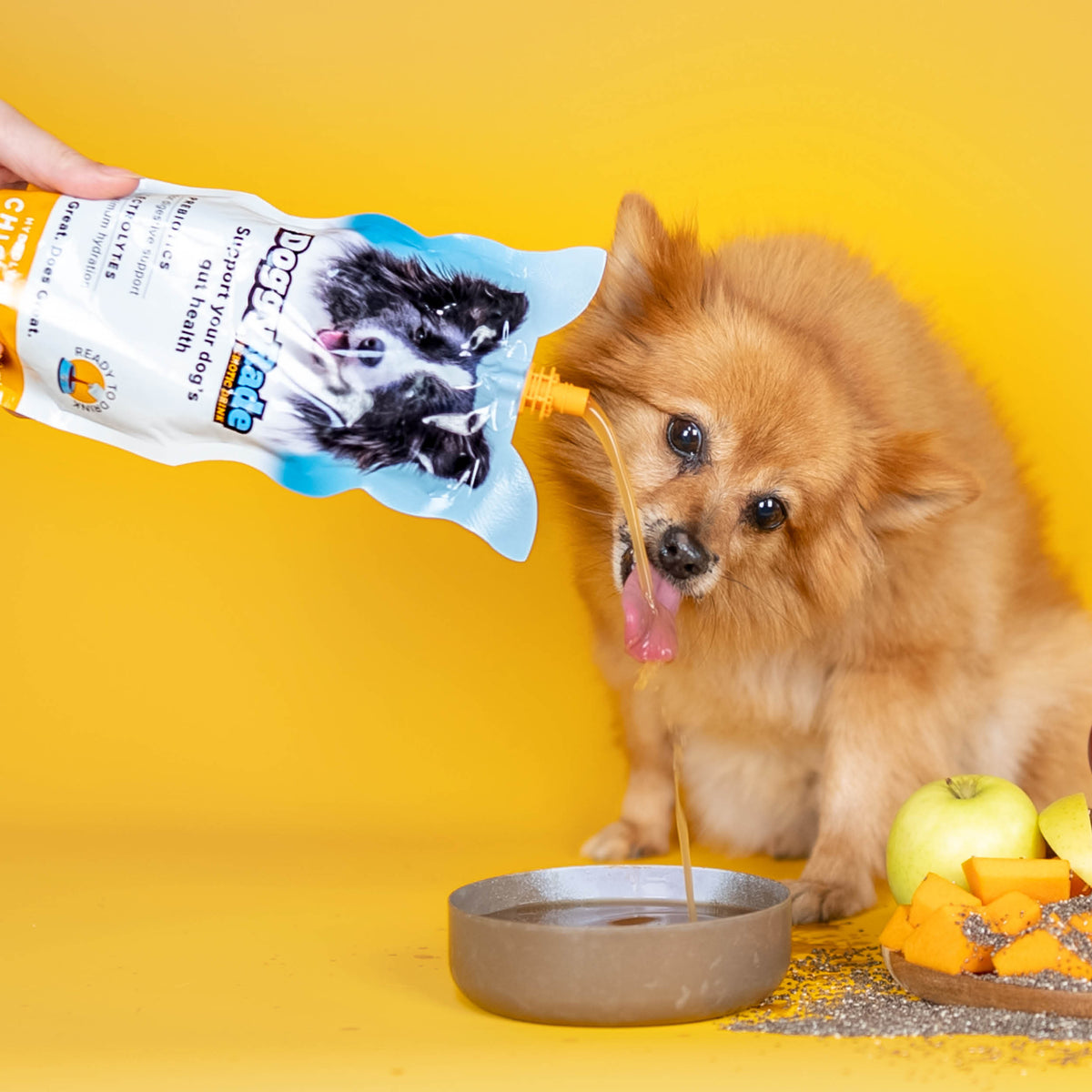 DoggyRade Prebiotics + Hydration 8.4 fl. oz Pouch - Chicken Flavor