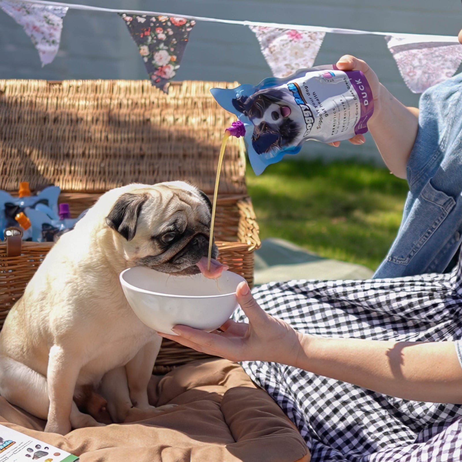 NEW FLAVOR! DoggyRade Prebiotics + Hydration 8.4 fl. oz Pouch - Duck Flavor