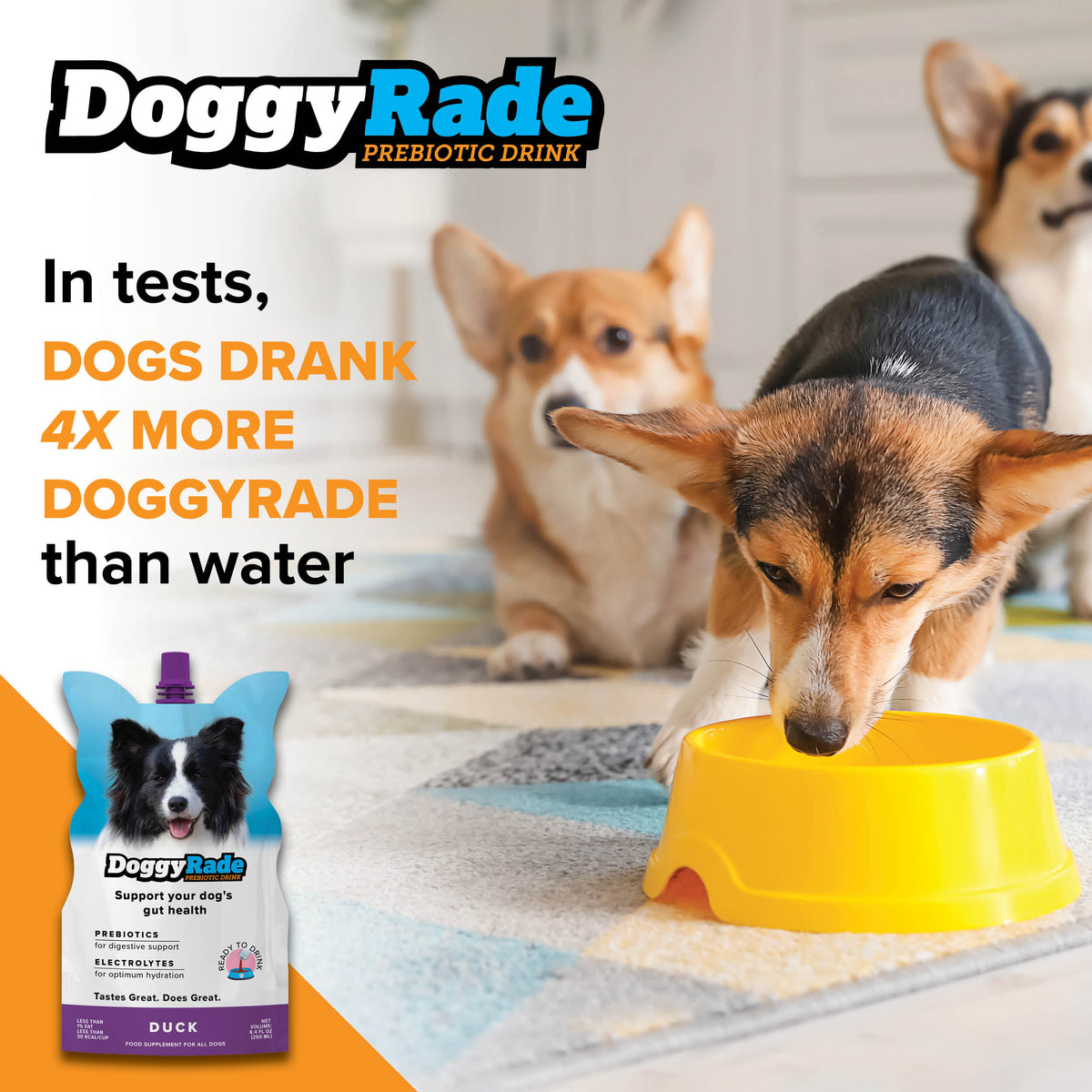 NEW FLAVOR! DoggyRade Prebiotics + Hydration 8.4 fl. oz Pouch - Duck Flavor