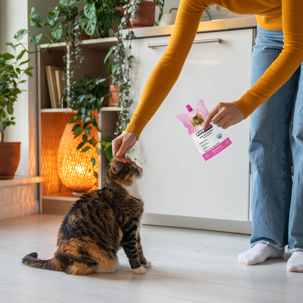 NEW FLAVOR!  KittyRade Preboitic Drink for Cats 8.4 fl. oz Pouch - Salmon Flavor