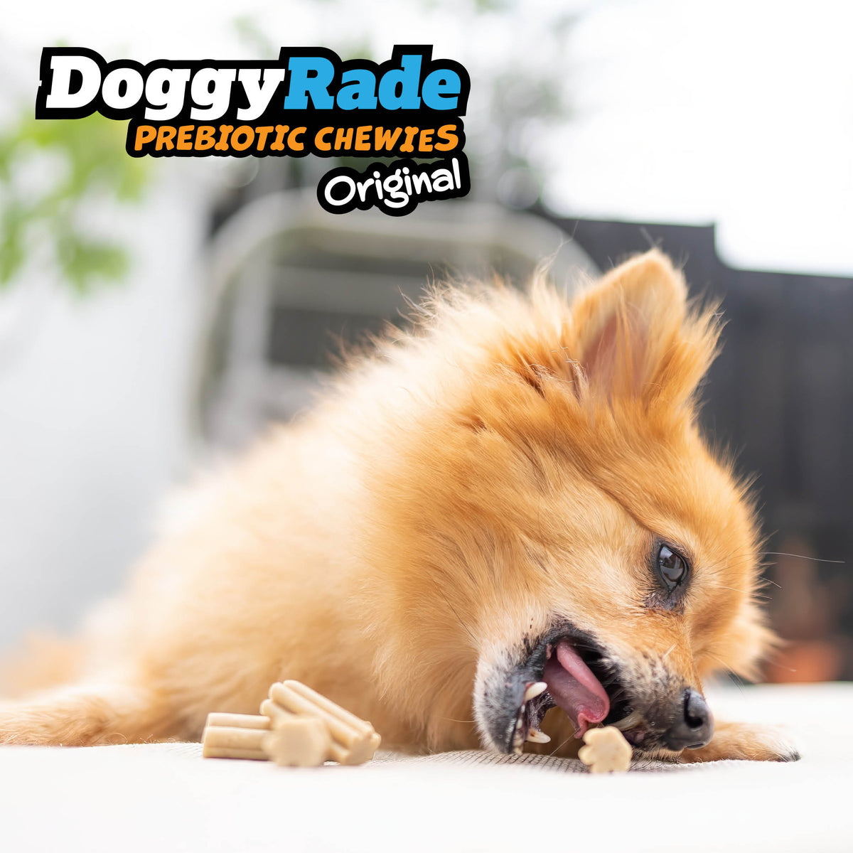 DoggyRade Prebiotic Original Chewies - Peanut Butter and Banana