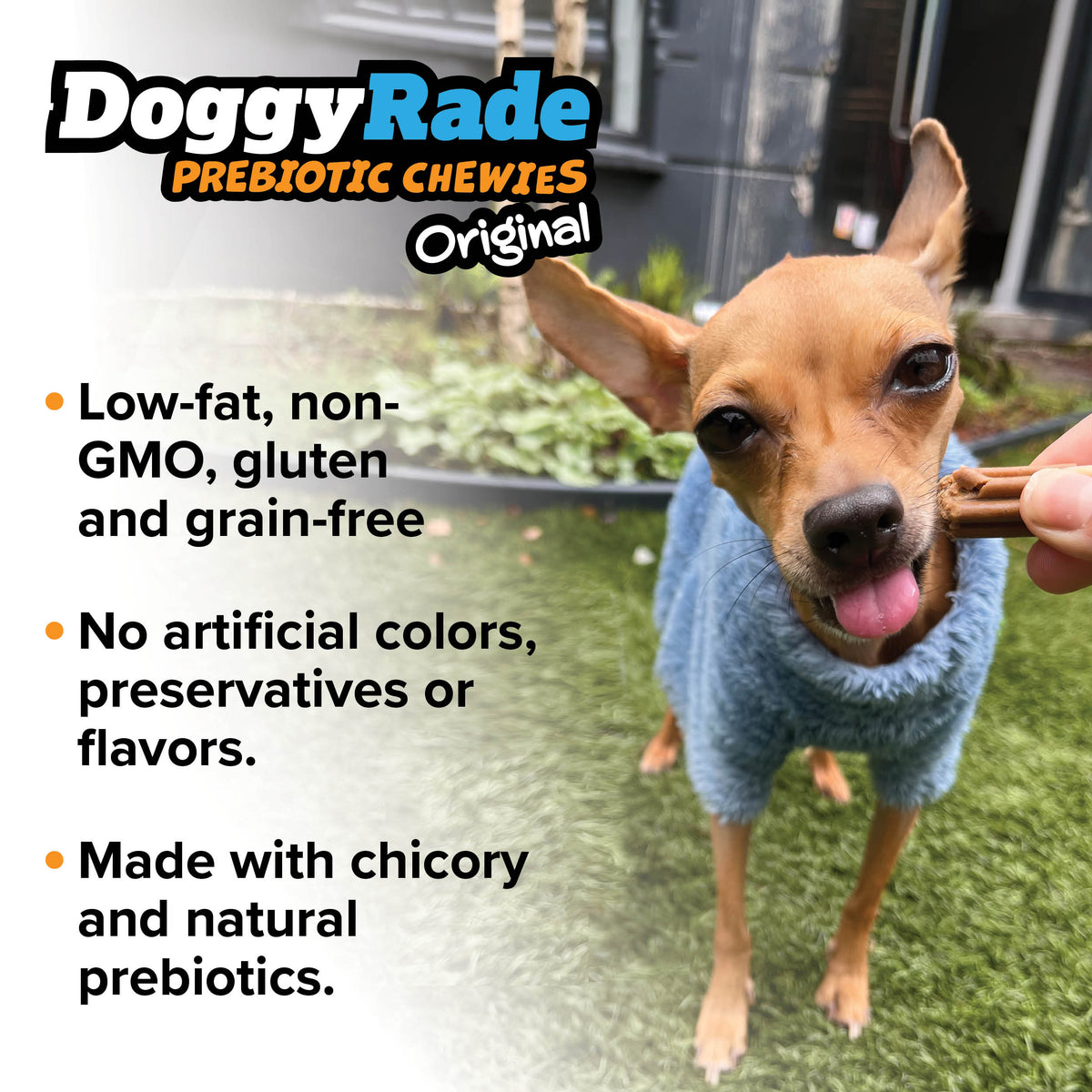 DoggyRade Prebiotic Original Chewies - Peanut Butter and Banana