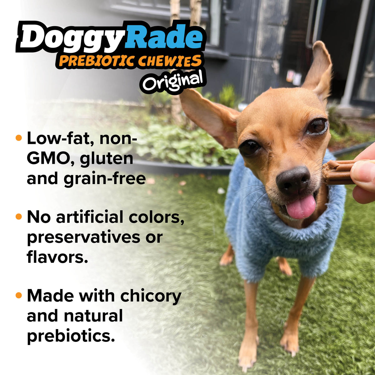 DoggyRade Prebiotic Original Chewies - Chicken