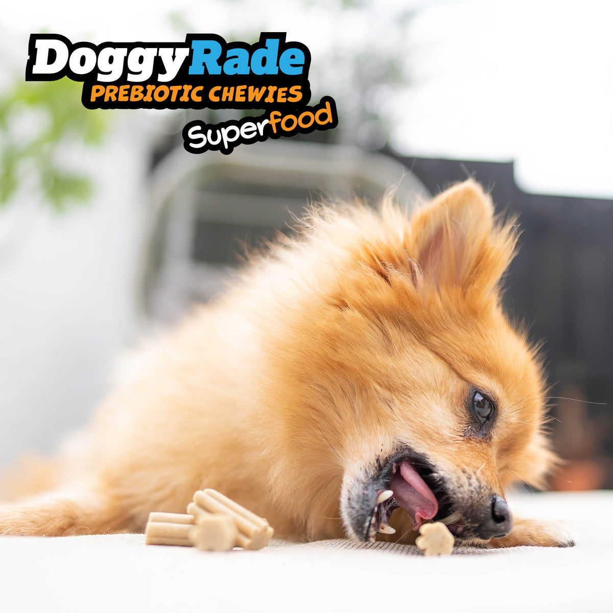 DoggyRade Prebiotic Superfood Chewies - Chicken Liver, Apple and Carrot