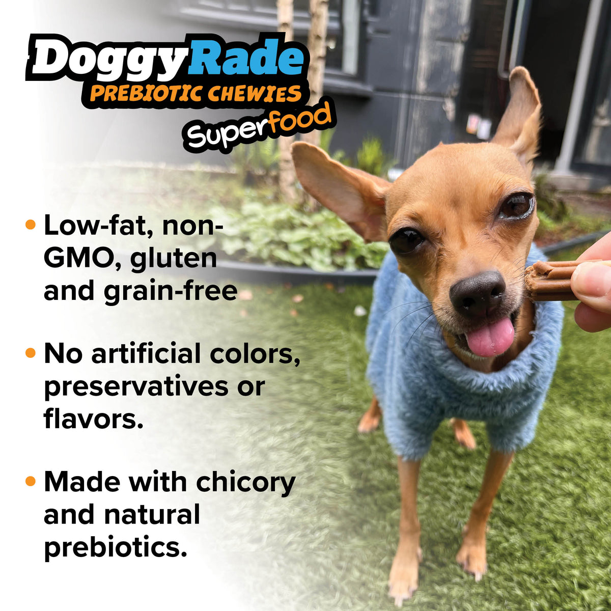 DoggyRade Prebiotic Superfood Chewies - Chicken Liver, Sweet Potato &amp; Pumpkin
