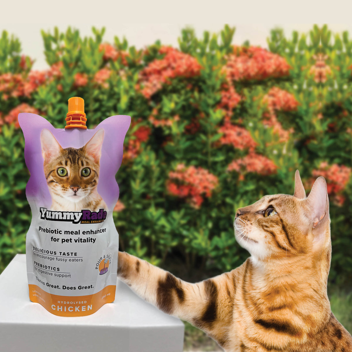 YummyRade Prebiotic Meal Enhancer for Cats 3 x 8.4 fl. oz Pouchs