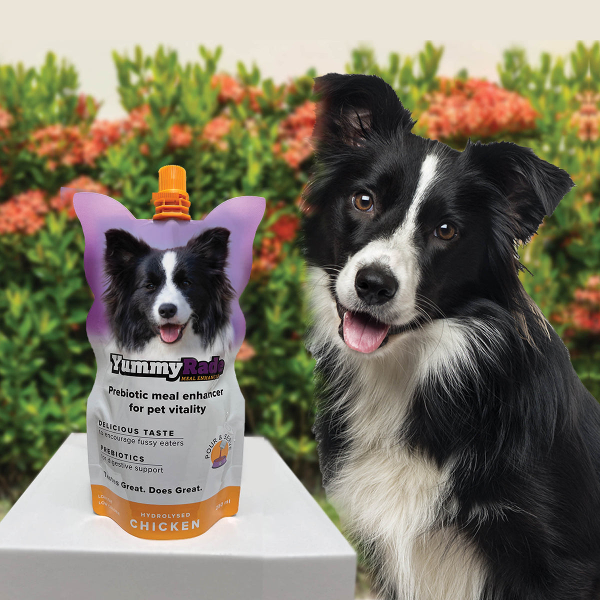 YummyRade Prebiotic Meal Enhancer for Dogs (3 x 8.4 fl. oz.) Pouches