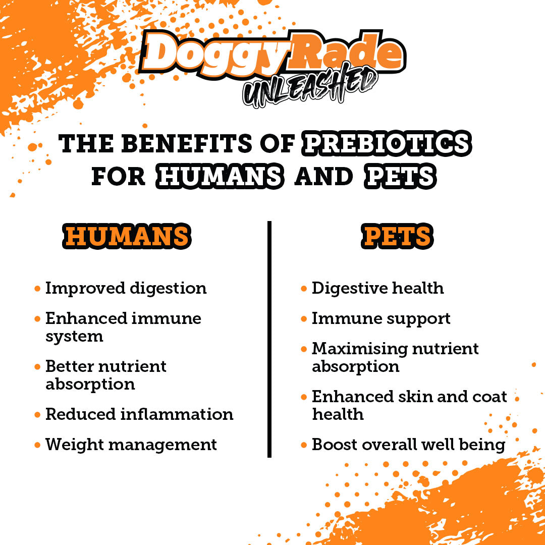 DoggyRade Unleashed Hydtration + Prebiotics Sport Drink for Dogs