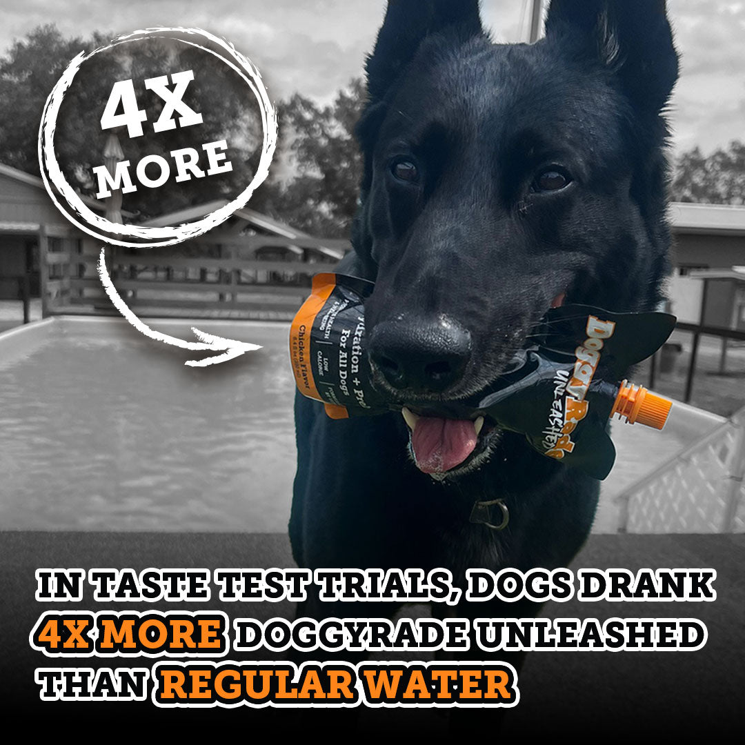 DoggyRade Unleashed Hydtration + Prebiotics Sport Drink for Dogs