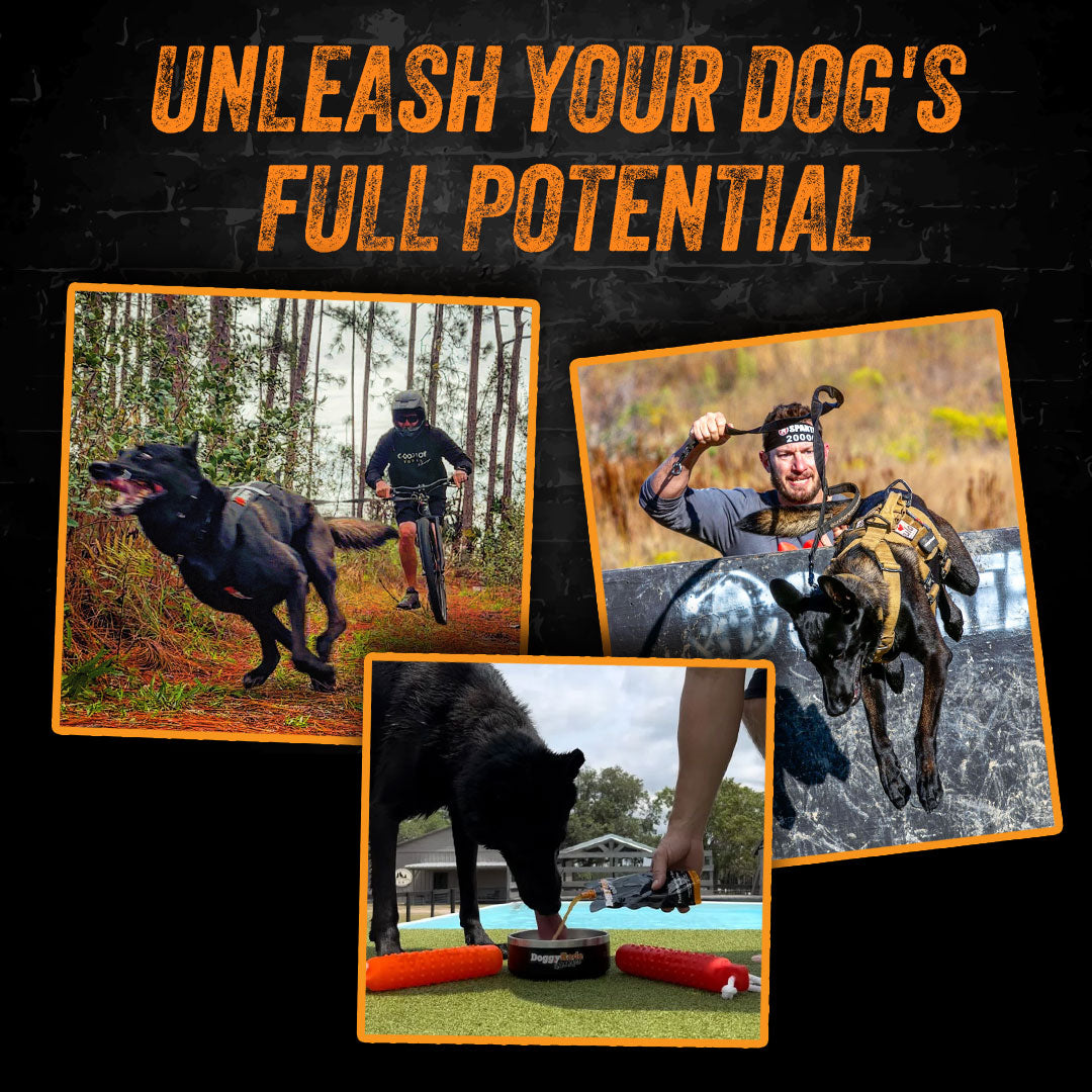 DoggyRade Unleashed Hydtration + Prebiotics Sport Drink for Dogs