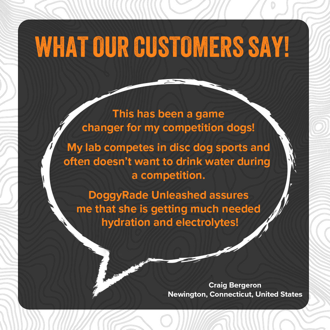 DoggyRade Unleashed Hydtration + Prebiotics Sport Drink for Dogs