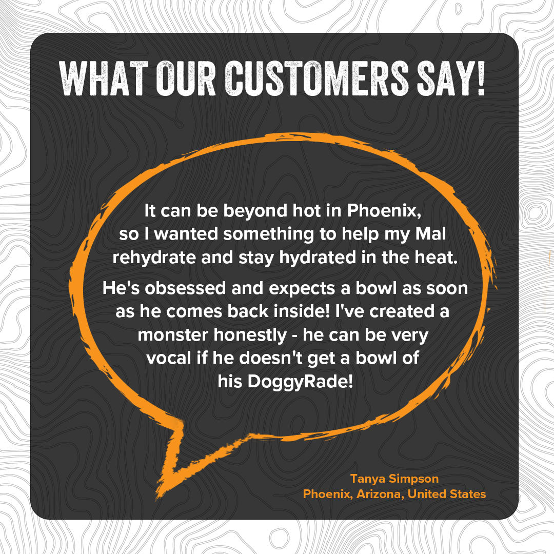 DoggyRade Unleashed Hydtration + Prebiotics Sport Drink for Dogs